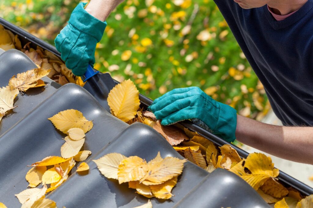 Common Problems Homeowners Face After Winter in Washington